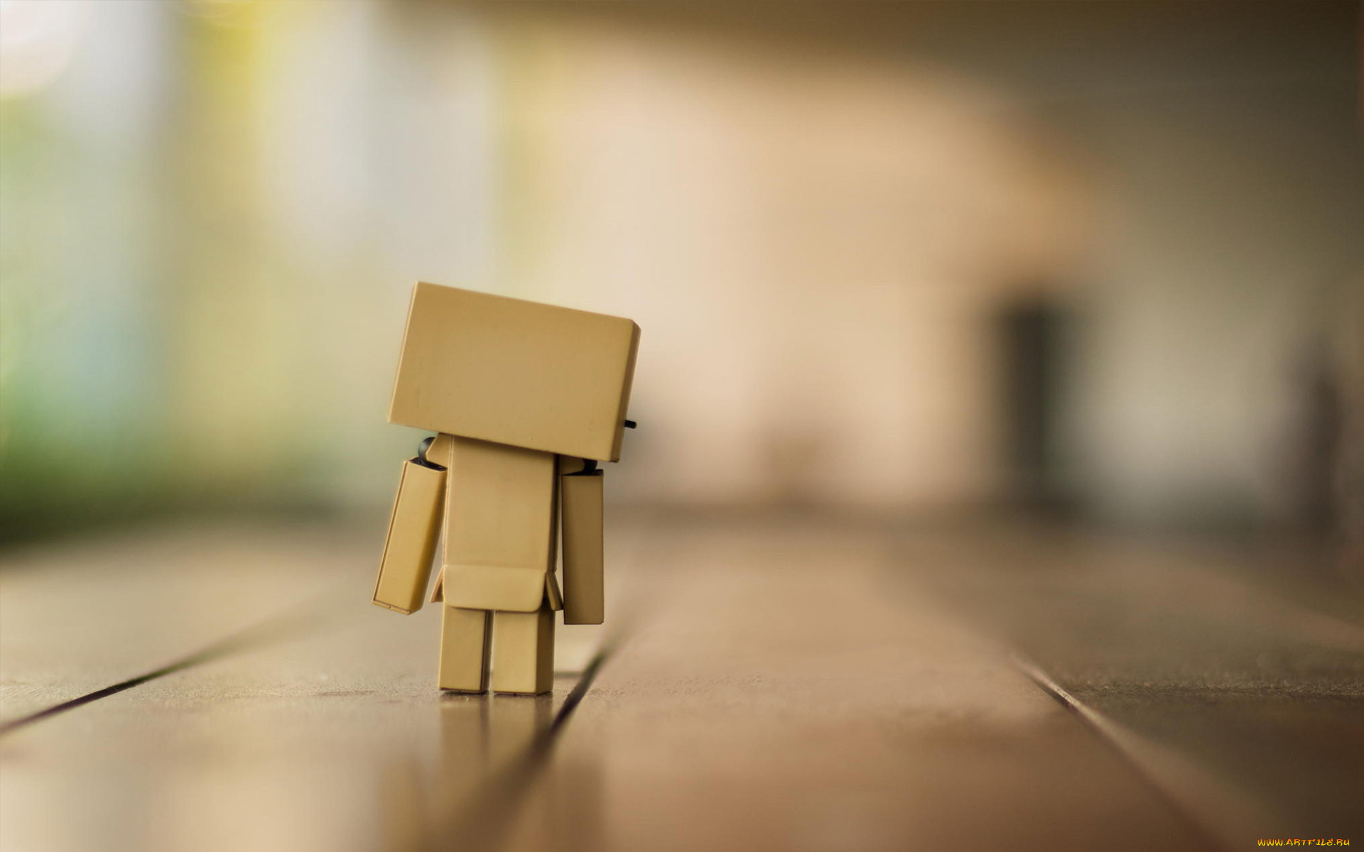 ,  , danboard, 